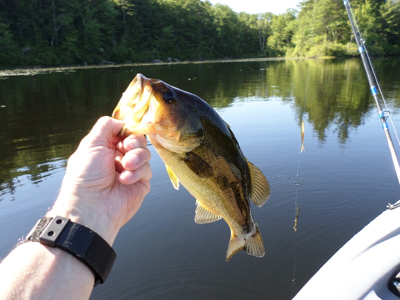 Paradise Pond, Princeton MA