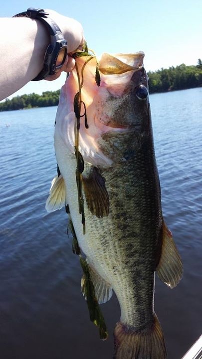 Black Lake Large Mouth Rodeo!