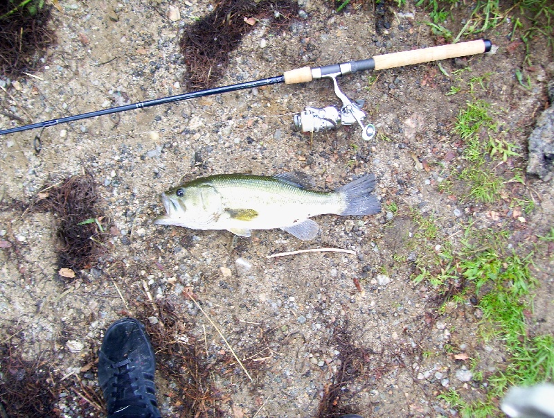 8/5/08 - Dudley Pond - Wayland, MA