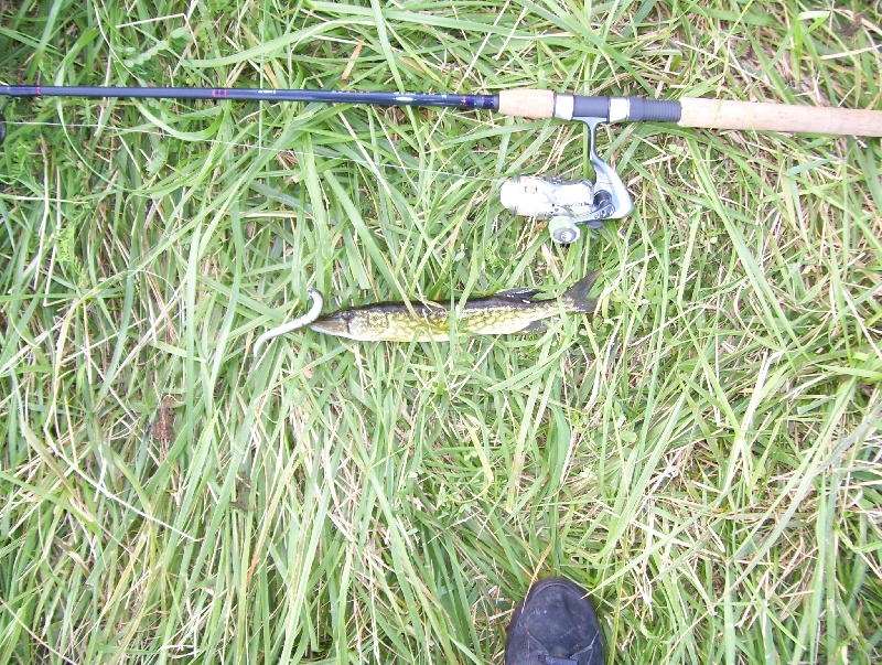 8/20/08 - A-1/Stump Pond