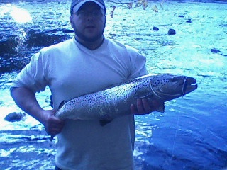 SHETUCKET RIVER SALMON